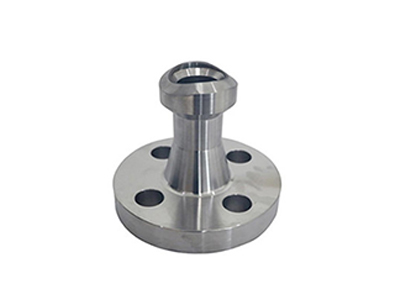 Nipo Weldo Flanges 1